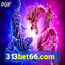 313bet66.com