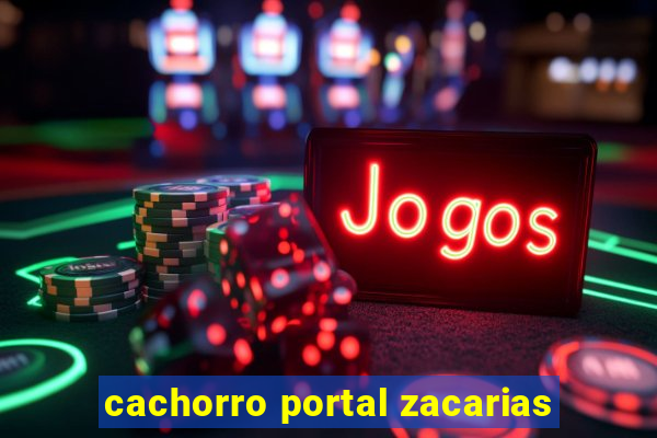 cachorro portal zacarias