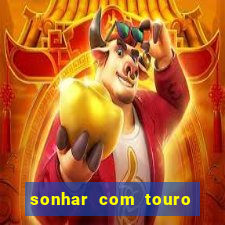 sonhar com touro bravo no mundo espiritual