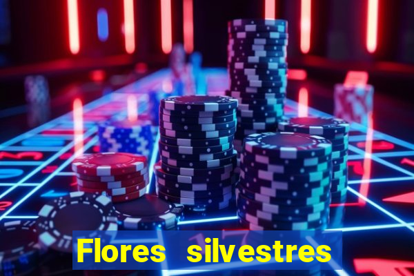 Flores silvestres brasileiras 25