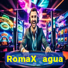 RomaX agua sanitaria fispq agua sanitaria romax