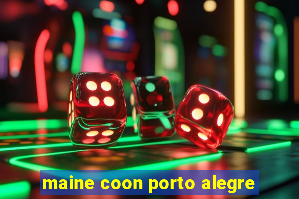 maine coon porto alegre