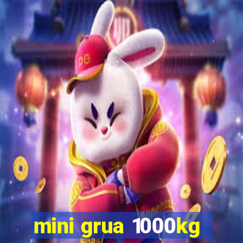 mini grua 1000kg