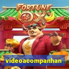 videoacompanhante